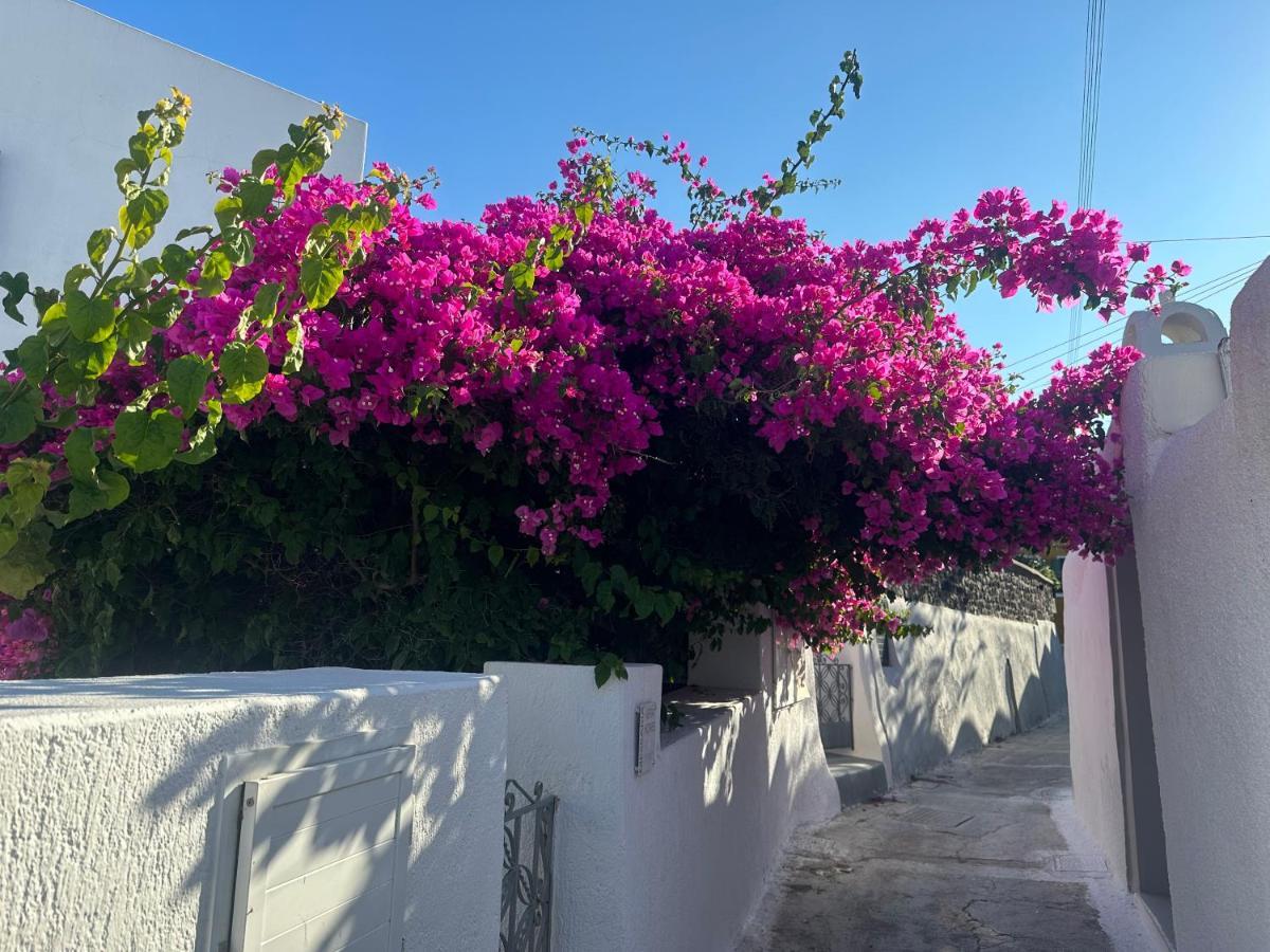 Kefia 1 Villa Месария Екстериор снимка